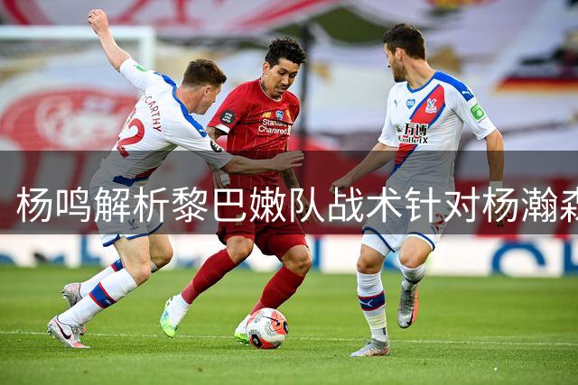 杨鸣解析黎巴嫩队战术针对杨瀚森