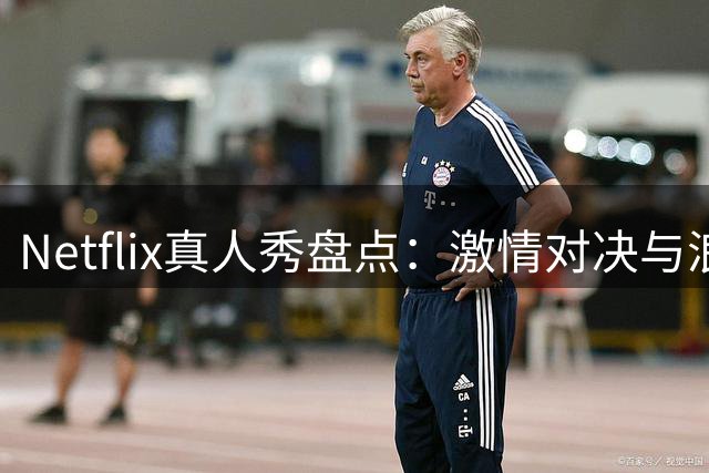 Netflix真人秀盘点：激情对决与浪漫碰撞